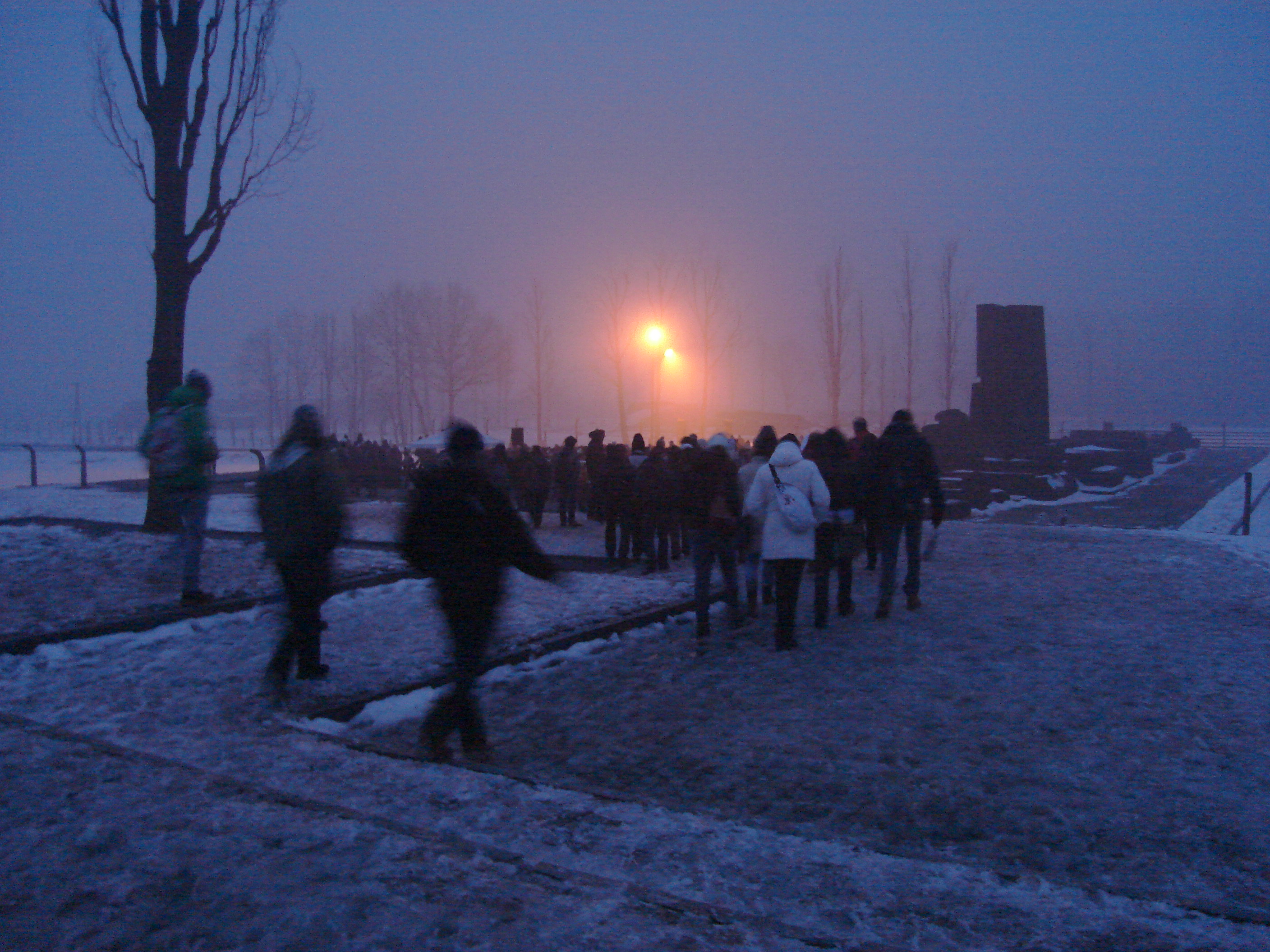 Immagine Memoria, un treno ‘virtuale’ porterà il 27 gennaio i giovani toscani ad Auschwitz